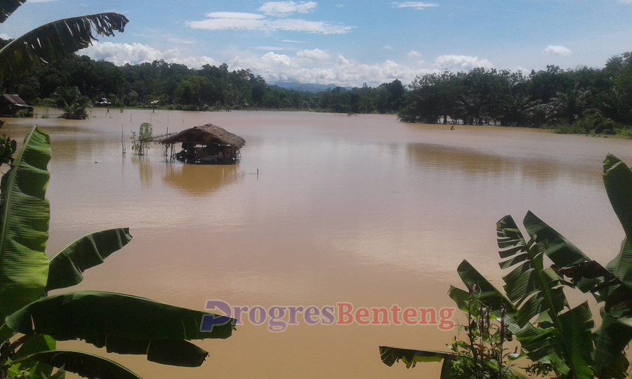 Puluhan hektar sawah terendam