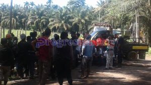 Akses Jalan PT Bio Nusantara di Blokir Warga, Ratusan Truk Pengangkut Sawit di Stop