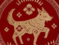 Ramalan Shio Anjing Kamis 13 Juni 2024, Hadapi Tantangan dengan Kegigihan